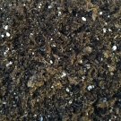 All Natural General Purpose Potting Soil loamy Mix - 8 Quart Houseplants Fresh Garden