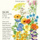 3 Grams Edible Beauties Flower Mix Seeds Seed Fresh Garden