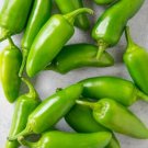 Seed Jalapeno Chile Pepper 100 Seeds Pack Fresh Garden