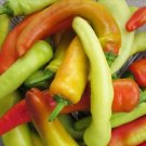 Hungarian Wax Hot Pepper Hot Banana Pepper Heirloom 400 Seeds Fresh Garden