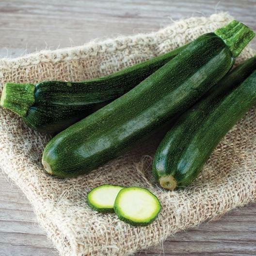 Black Beauty Zucchini Squash Summer Squash 100 Seeds Fresh Garden