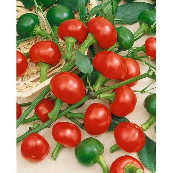 Large Red Cherry Hot Pepper Heirloom 100 Seeds Fresh Garden