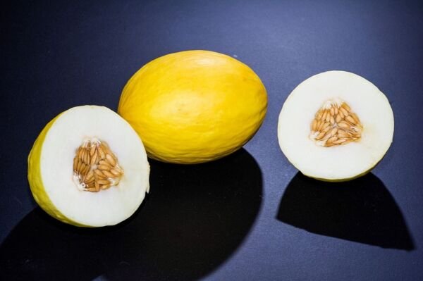 Canary Melon Cucumis Melo 100 Seeds Fresh Garden