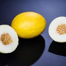 Canary Melon Cucumis Melo 100 Seeds Fresh Garden