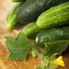 Cucumber Long Green Improved Gourmet 100 Seeds Fresh Garden