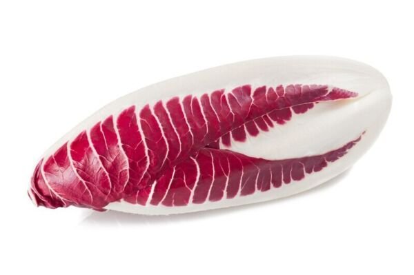 Endive Red Treviso Heirloom 2000 Seeds Fresh Garden