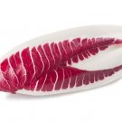 Endive Red Treviso Heirloom 2000 Seeds Fresh Garden