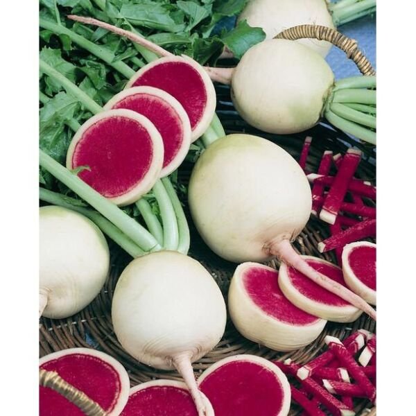 Watermelon Radish Aka Chinese Red Meat Roseheart Heirloom 1000 Seeds Fresh Garden