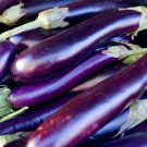Long Purple Eggplant Heirloom 100 Seeds Fresh Garden