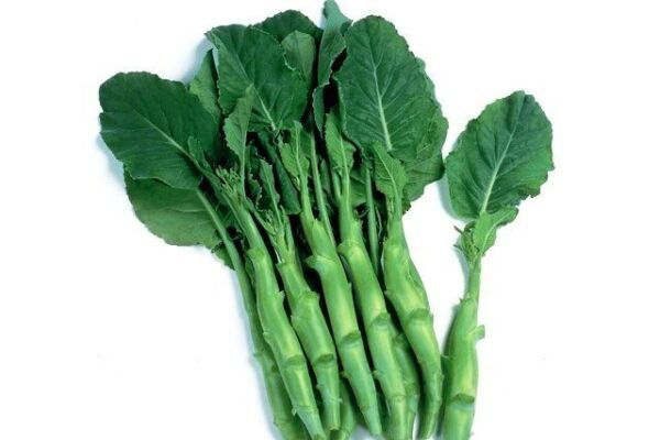 Big Stem Chinese Broccoli Heirloom 1000 Seeds Fresh Garden
