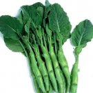 Big Stem Chinese Broccoli Heirloom 1000 Seeds Fresh Garden