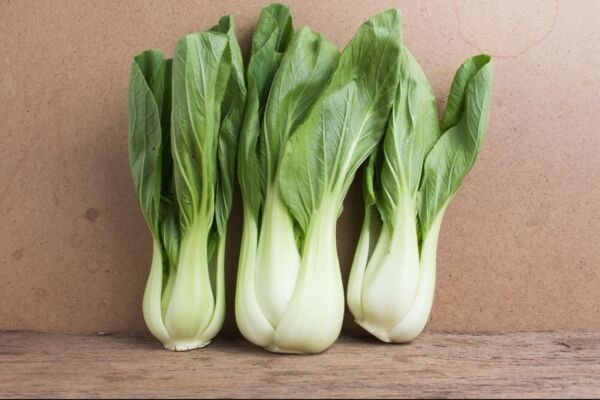 Chinese White Stem Pak Choi Bok Choy Chinese Cabbage 3000 Seeds Fresh Garden