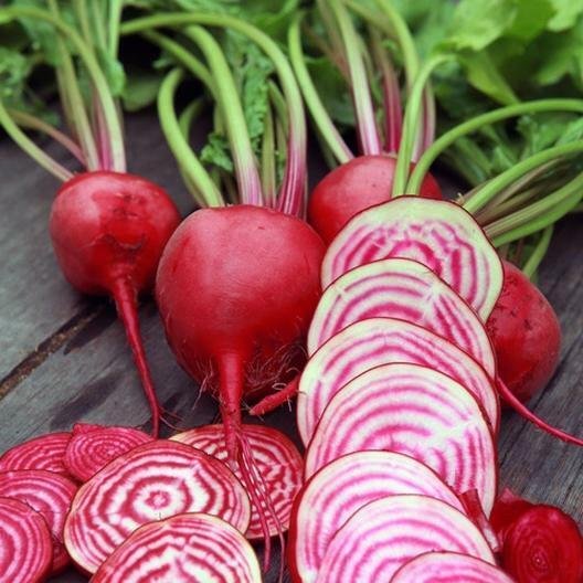 Chioggia Beet Heirloom 200 Seeds Fresh Garden