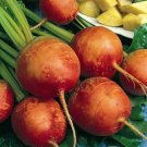 Golden Detroit Beet 100 Seeds Fresh Garden
