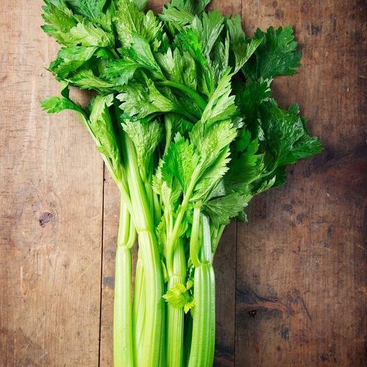 Tall Utah Celery 3000 Seeds Fresh Garden