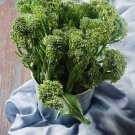 Broccoli Waltham 29 Heirloom 1000 Seeds Fresh Garden