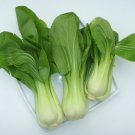 3000 Seeds Canton Pak Choi Bok Choy Chinese Cabbage Seed Non-Gmo Fresh Garden