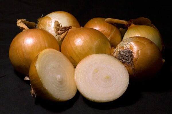 300 Seeds Walla Walla Sweet Onion Seed Heirloom Non-Gmo Fresh Garden