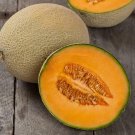 100 Seeds Hales Best Jumbo Cantaloupe Seed Non-Gmo Fresh Garden