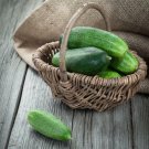 60 Seeds Spacemaster Cucumber Seed Non-Gmo Vegetable Seed Fresh Garden