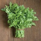 500 Seeds Shungiku Seed Edible Chrysanthemum Asian Greens Choy Suy-Tongho Fresh Garden
