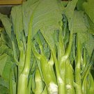 500 Seeds Heirloom Kailaan Chinese Broccoli Kale Kai Lans Asian Green Gai Lan Seed Fresh Garden