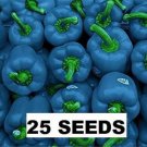 Fresh 25 Seeds Blue Bell Peppers Easy To Grow Vegetable Sweet Edible Food Garden