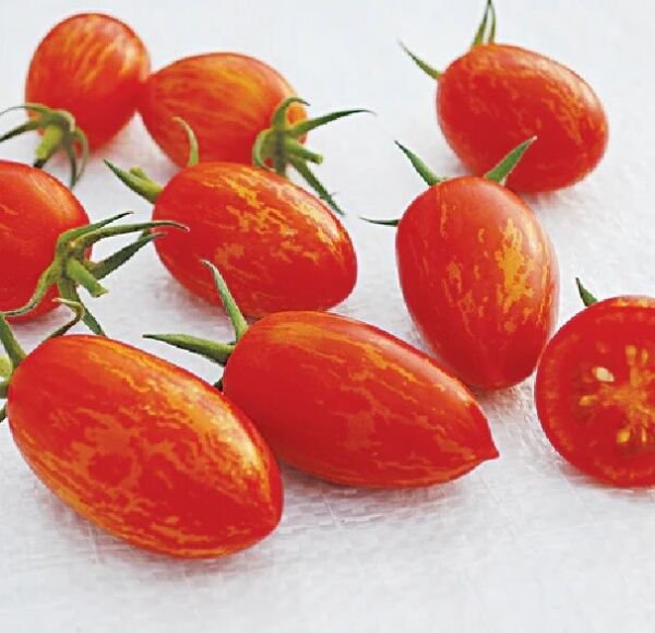 Fresh 50 Seeds Red Torch Tomato Hybrid Vegetable Planting Tomatoe Garden