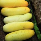 Fresh 25 Seeds Yellow Submarine Cucumber Hybrid Planting Vegetable Pickling Garden