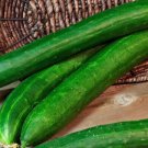 Fresh 25 Seeds Tasty Green Cucumber Hybrid Cukes Planting Vegetable Pickling Garden