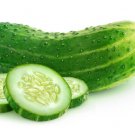 Fresh 25 Seeds Ashley Cucumber Hybrid Easy Planting Vegetable Pickling Garden