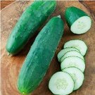 Fresh 25 Seeds Straight Nine Cucumber Hybrid Easy Grow Vegetable Pickling Garden
