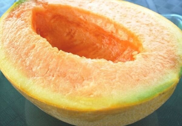 Fresh 25 Seeds Yubari Melon Fast Growing Sweet Tasting Farm Planting Garden