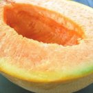 Fresh 25 Seeds Yubari Melon Fast Growing Sweet Tasting Farm Planting Garden