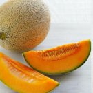 Fresh 25 Seeds Rocket Melon Fast Growing Sweet Tasting Farm Planting Garden
