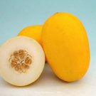 Fresh 25 Seeds Golden Prize Melon Fast Growing Sweet Tasting Farm Planting Garden
