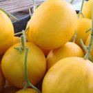 Fresh 25 Seeds Golden Langkawi Melon Fast Growing Sweet Tasting Farm Planting Garden