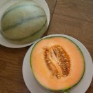Fresh 25 Seeds Charentais Melon Fast Growing Sweet Tasting Farm Planting Garden