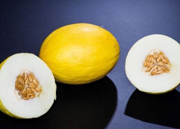 Fresh 25 Seeds Canary Melon Fast Growing Sweet Tasting Farm Planting Garden