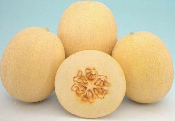 Fresh 25 Seeds Autumn Sweet Melon Fast Growing Sweet Tasting Farm Planting Garden
