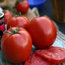 Fresh 50 Seeds Umamin Tomato Hybrid Vegetable Planting Tomatoe Easy Garden