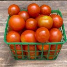 Fresh 50 Seeds Toronjina Tomato Hybrid Vegetable Planting Tomatoe Easy Garden