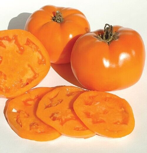 Fresh 50 Seeds Tye-Dye Tomato Hybrid Vegetable Planting Tomatoe Easy Grow Garden