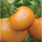 Fresh 50 Seeds Sweet Tangerine Tomato Hybrid Vegetable Planting Tomatoe Garden