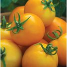Fresh 50 Seeds Solar Power Tomato Hybrid Vegetable Planting Tomatoe Garden