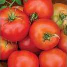 Fresh 50 Seeds Summer Girl Tomato Hybrid Vegetable Planting Tomatoe Garden