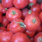 Fresh 50 Seeds Summer Tomato Hybrid Vegetable Planting Tomatoe Garden