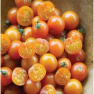 Fresh 50 Seeds Sun Gold Tomato Hybrid Cherry Vegetable Planting Tomatoe Food Garden
