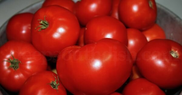 Fresh 50 Seeds Red Summer Tomato Hybrid Vegetable Planting Tomatoe Grow Garden