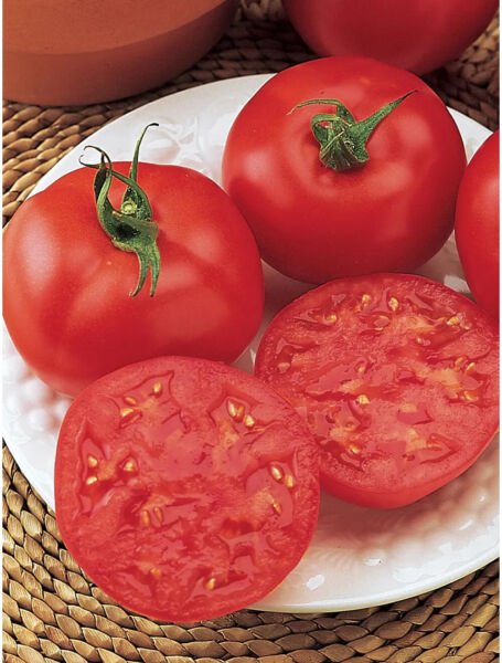 Fresh 50 Seeds Red October Tomato Hybrid Vegetable Planting Tomatoe Grow Garden